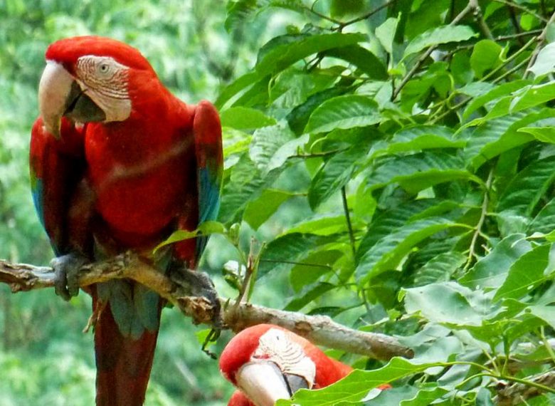 Tour Operator in Bolivia -  Specialized in Uyuni Tours