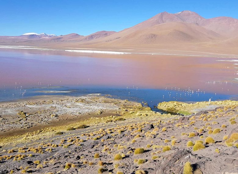 Tour Operator in Bolivia -  Specialized in Uyuni Tours