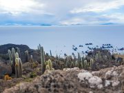 Tour Operator in Bolivia -  Specialized in Uyuni Tours