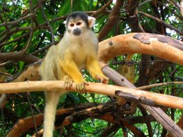 Tour Operator in Bolivia -  Specialized in Uyuni Tours