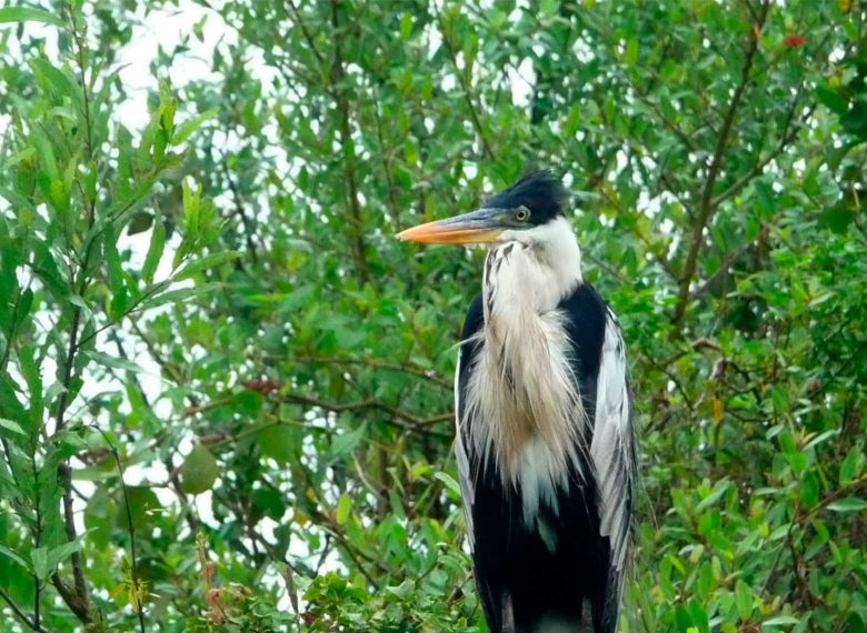 Tour Operator in Bolivia -  Specialized in Uyuni Tours