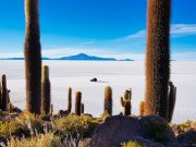 Tour Operator in Bolivia -  Specialized in Uyuni Tours