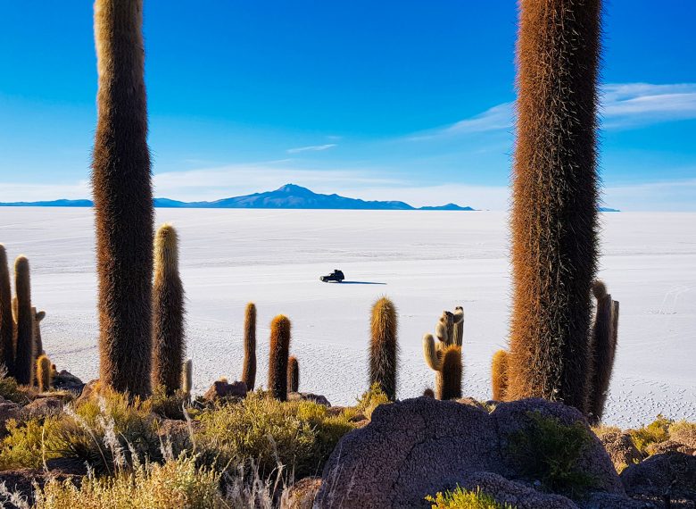 Tour Operator in Bolivia -  Specialized in Uyuni Tours